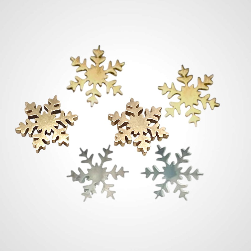 Snowflake Steel- Earring