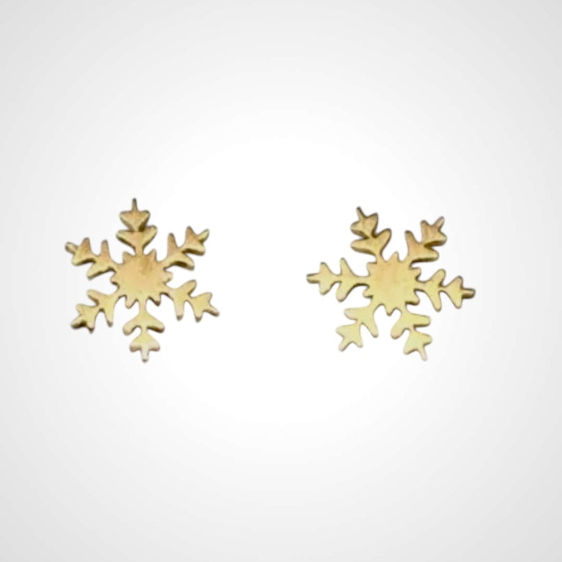 Snowflake Steel- Earring