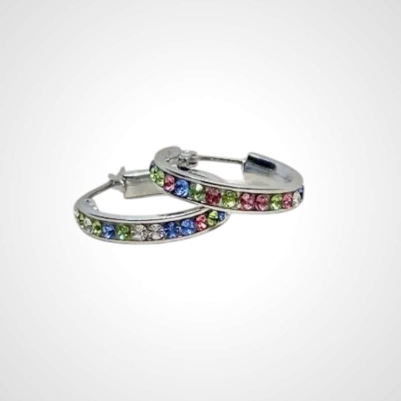 Pastel Circle Big- Earring