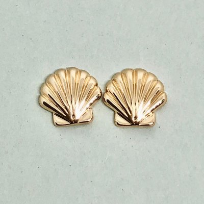 Summer Shell - Örhänge