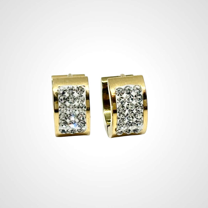 Sparkling Circle Gold- Earring