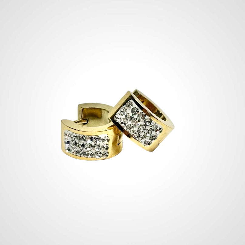 Sparkling Circle Gold- Earring